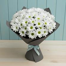 Букет цветов из:  Хризантемы в Казгулаке